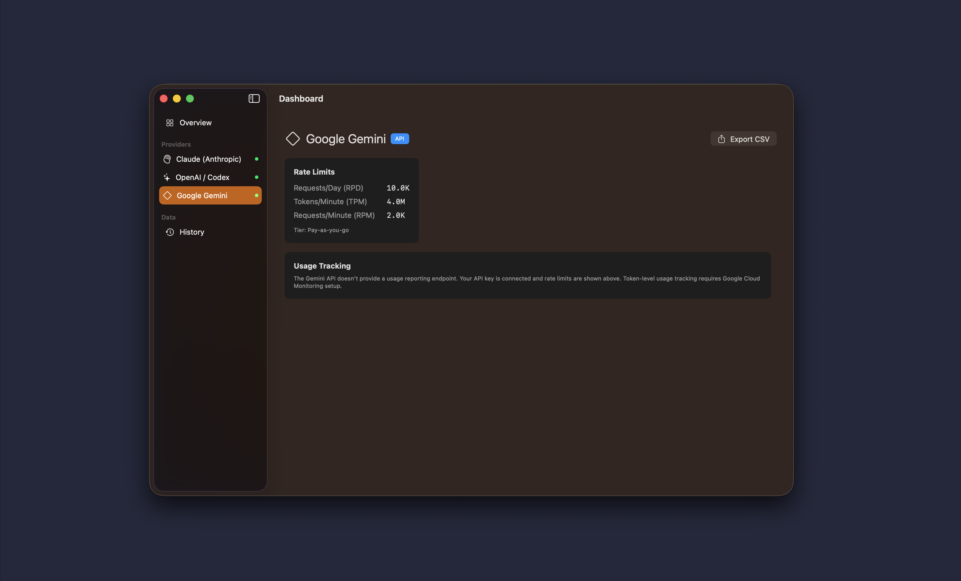 Google Gemini detail view with API usage and token chart